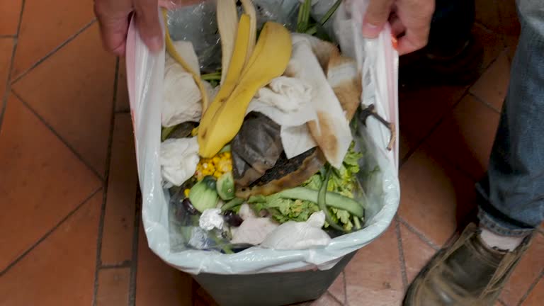 Best Yard Waste Removal  in Thermopolis, WY